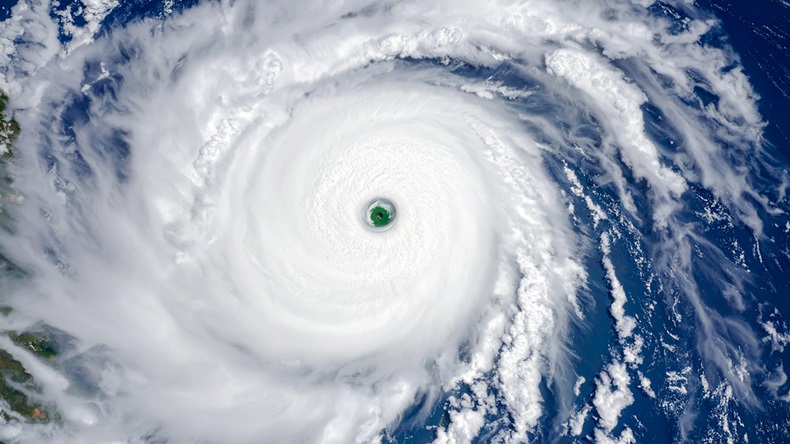 Typhoon