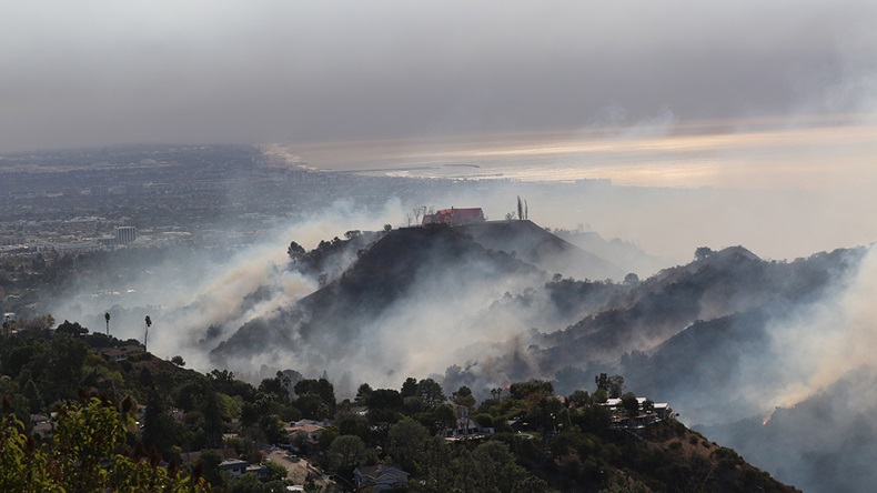 California Palisades fire (2025)