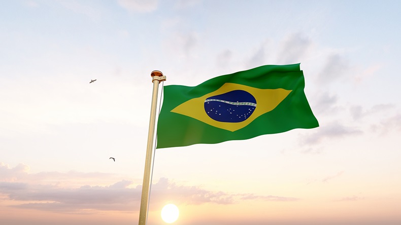 Brazil flag