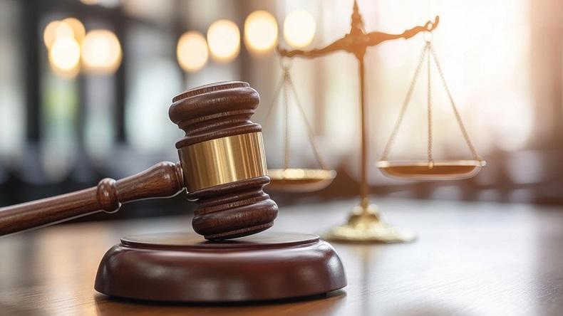 Litigation
