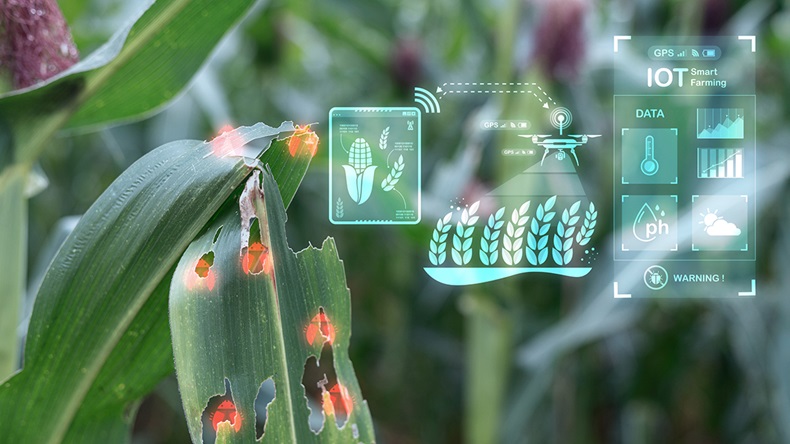 Agriculture data