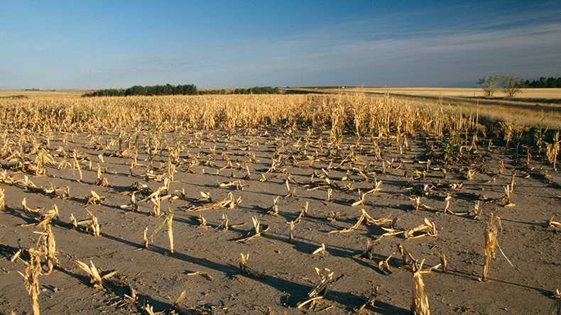 Drought