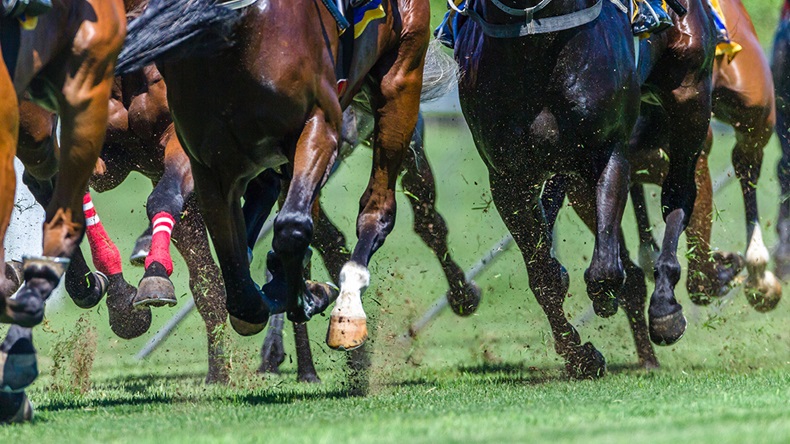 Horse racing