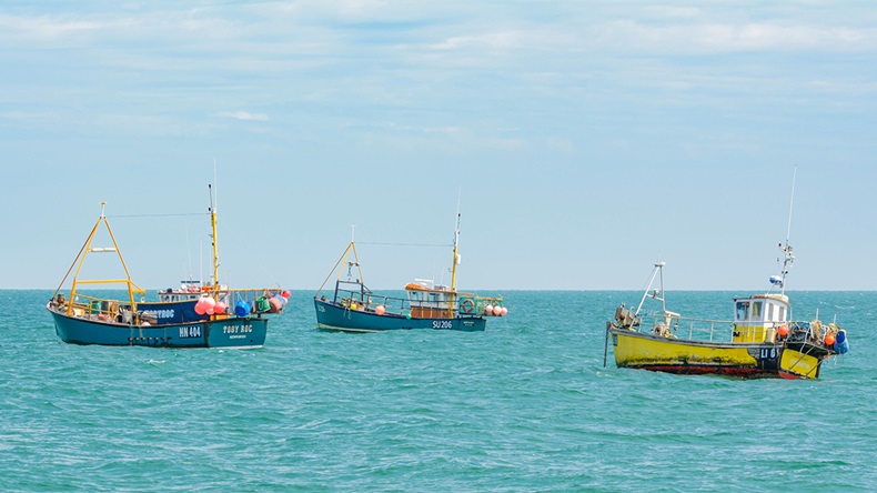 Fishing boats