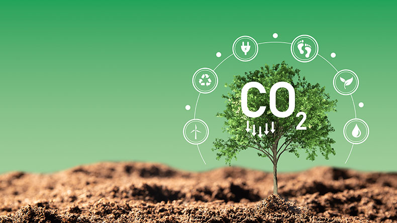 Carbon dioxide emissions
