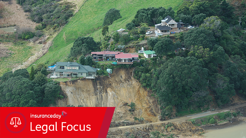 A landslide nearly destroys these houses in New Zealand 