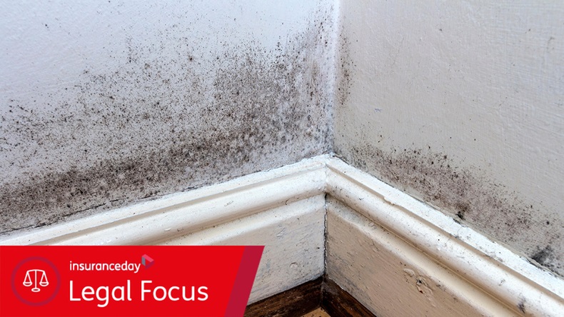 Black mould