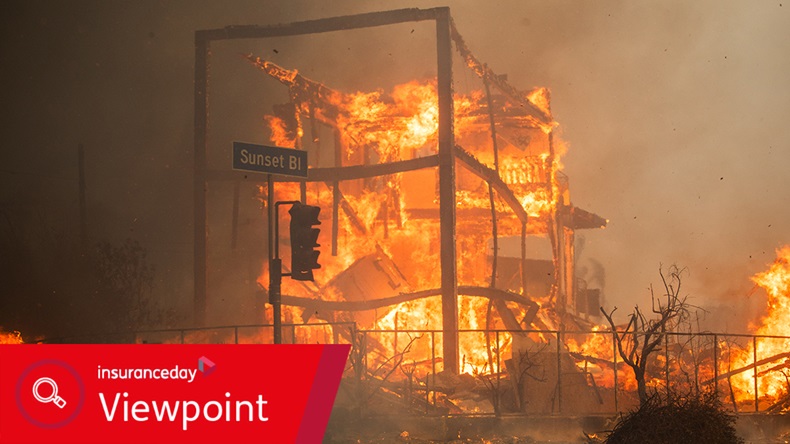 California Palisades fire (2025)