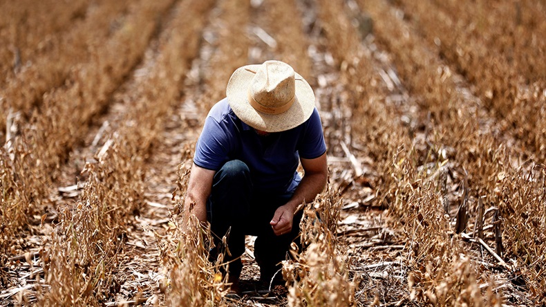 Brazil drought (2022) (REUTERS/Diego Vara/Alamy Stock Photo)