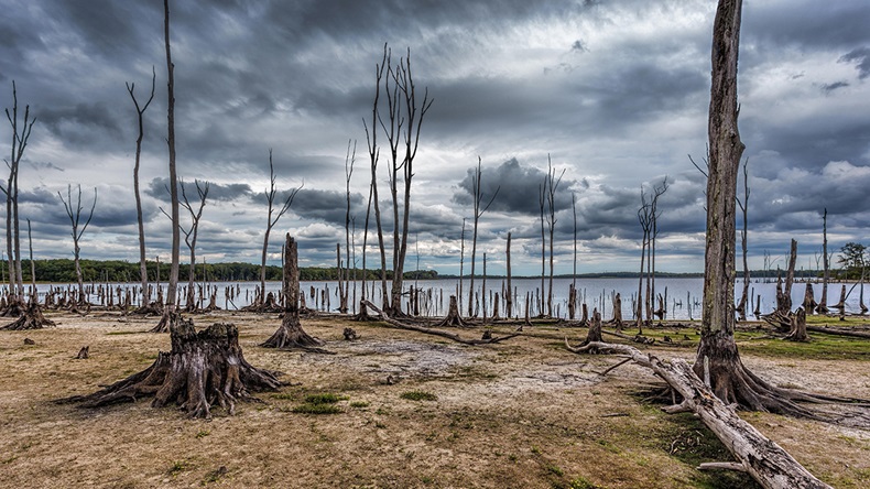 Climate change (Stephen Bonk/Alamy Stock Photo)