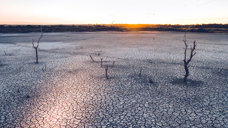 Desertification (