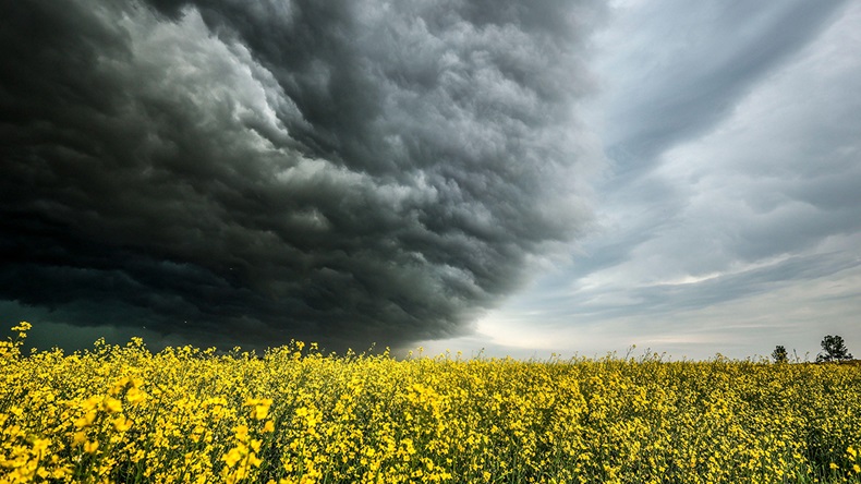 Canada storm (Jeff McIntosh/The Canadian Press/Alamy Live News)