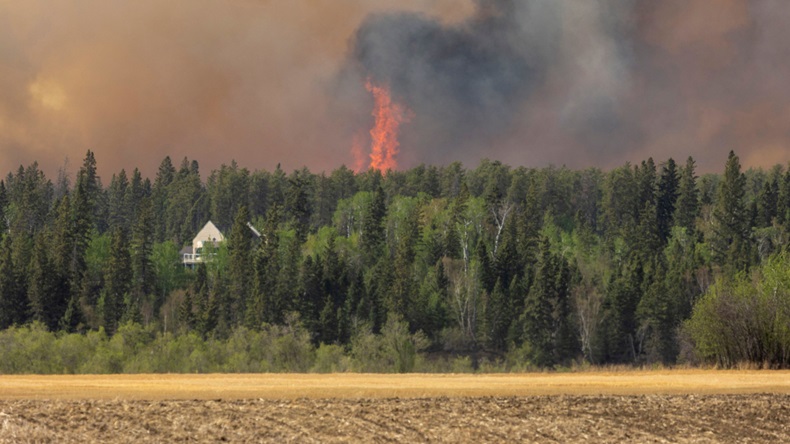Alberta wildfire (2021) (David Stobbe/REUTERS/Alamy Stock Photo)