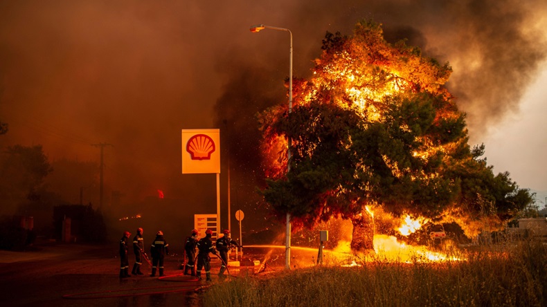 Greece wildfire (2021) (dpa picture alliance/Alamy Stock Photo)