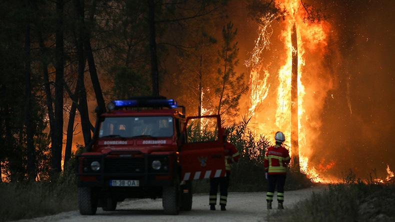 Portugal wildfire (2022) (REUTERS/Rodrigo Antunes/Alamy Stock Photo)