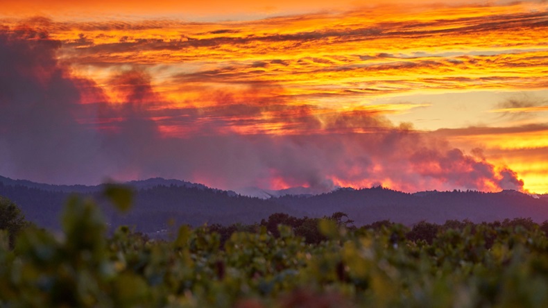 California wildfire (AlexGImagery/Alamy Stock Photo)