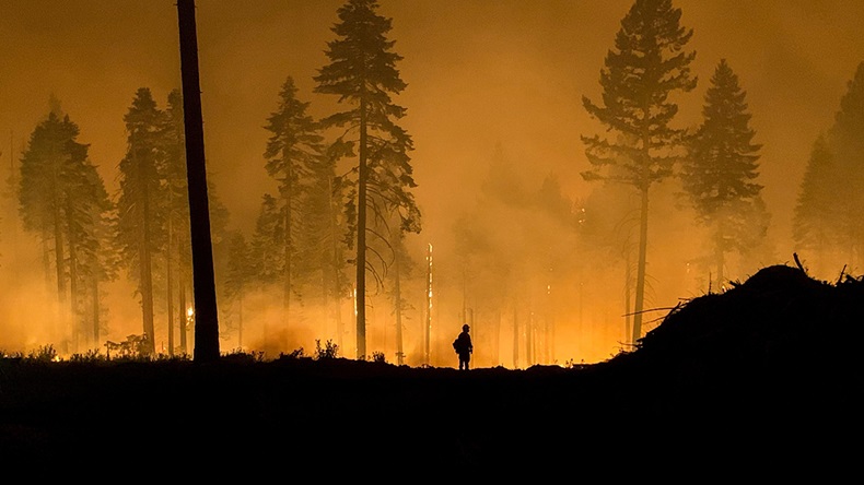 California wildfire (Wildfire Image/Alamy Stock Photo)