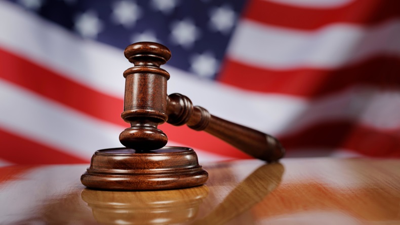 US flag gavel (Stocksnapper/Alamy Stock Photo)