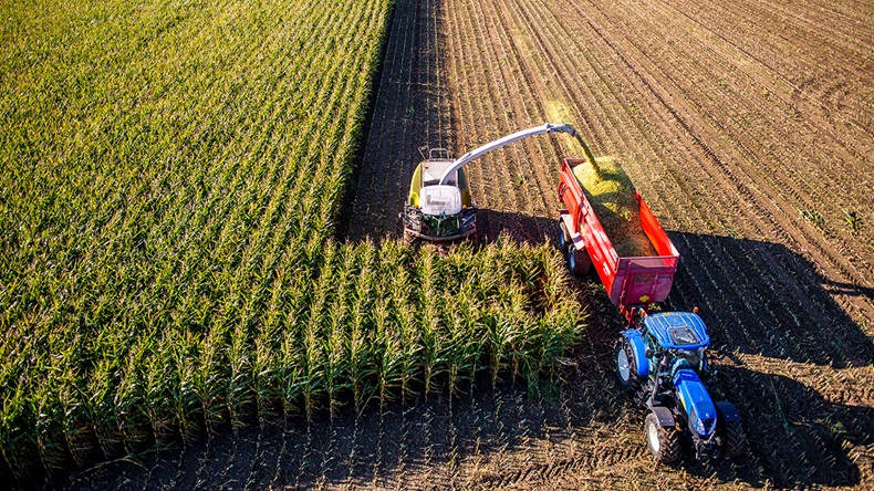 Farming (Jochen Tack/Alamy Stock Photo)