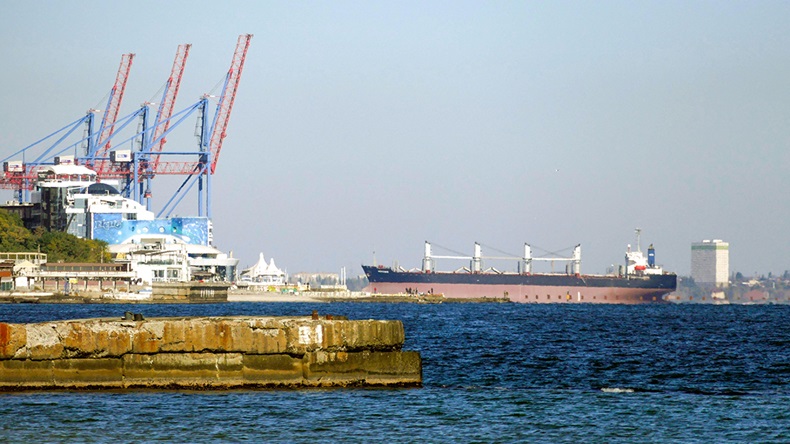 Ukraine grain shipping (Raj Valley/Alamy Stock Photo)