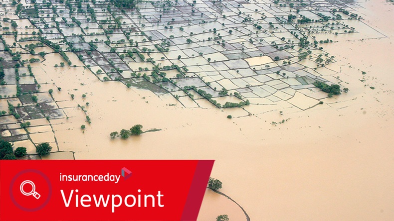 Flooded fields, India