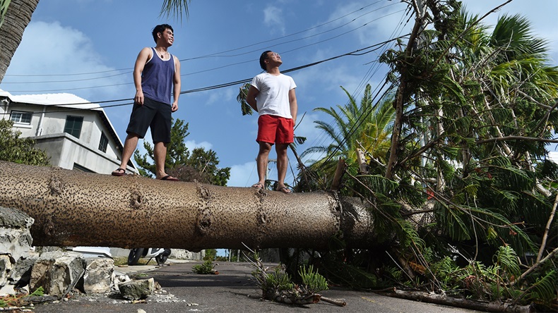 Damage caused by Hurricane Humberto, Bermuds