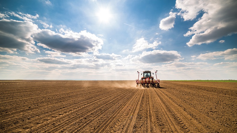 Agriculture (oticki/Shutterstock.com)