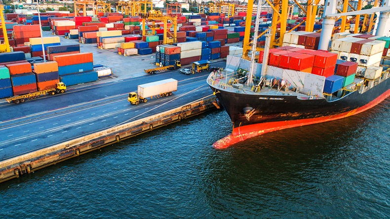 Cargo vessel (MAGNIFIER/Shutterstock.com)