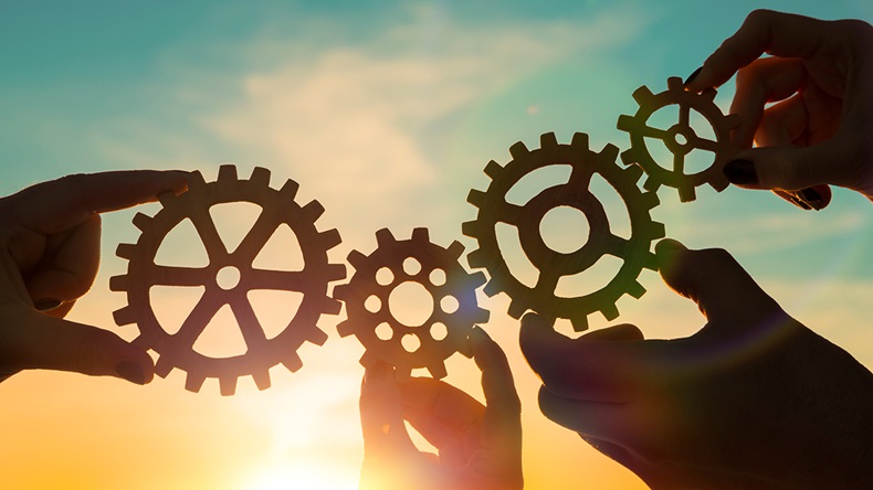 Co-operation (gerasimov_foto_174/Shutterstock.com)