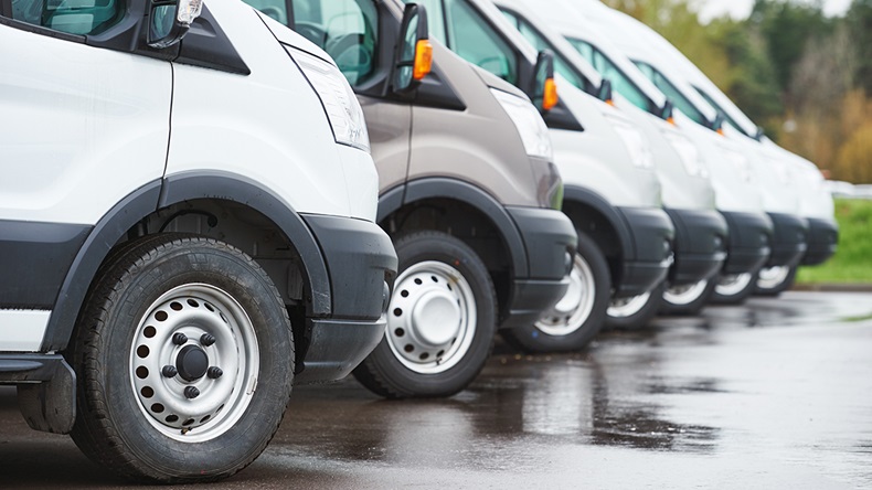 Vans (Dmitry Kalinovsky/Shutterstock.com)