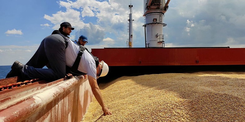 Inspection checking grain cargo on Razoni.