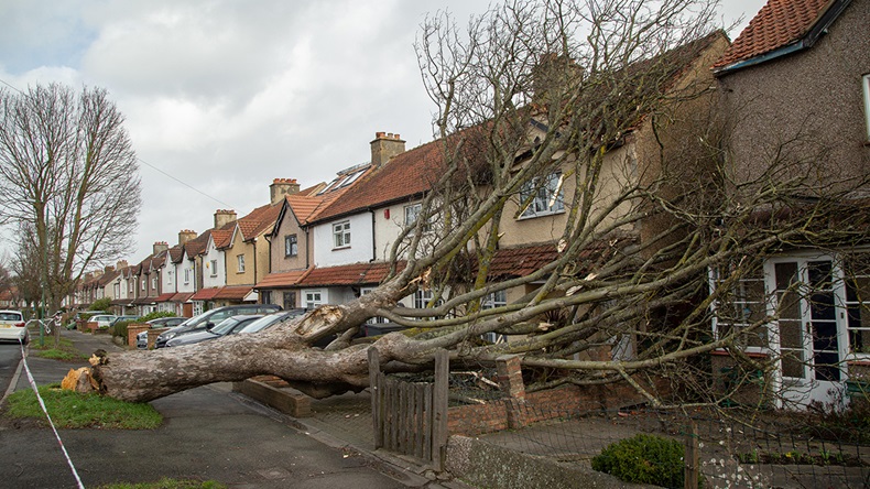 Storm Eunice, Sutton, England