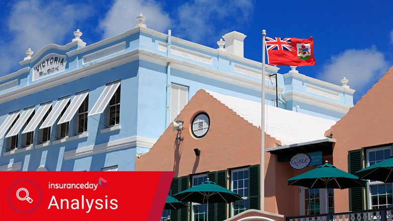Bermuda flag 