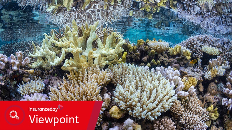 Coral bleaching