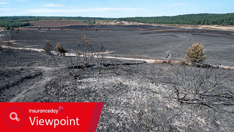 Surrey, England wildfire (2022)