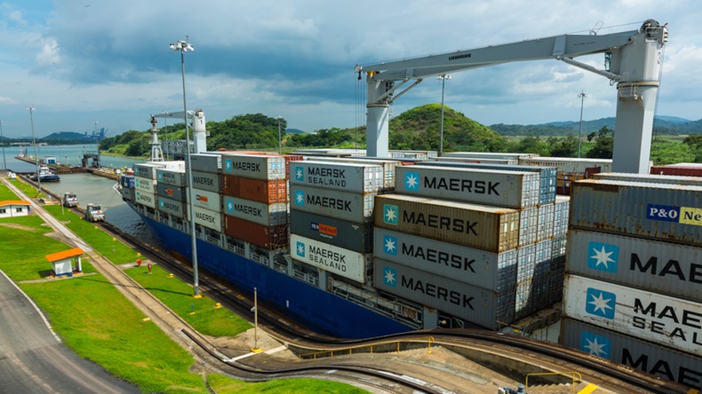 Cargo vessel (Nature Picture Library/Alamy Stock Photo)