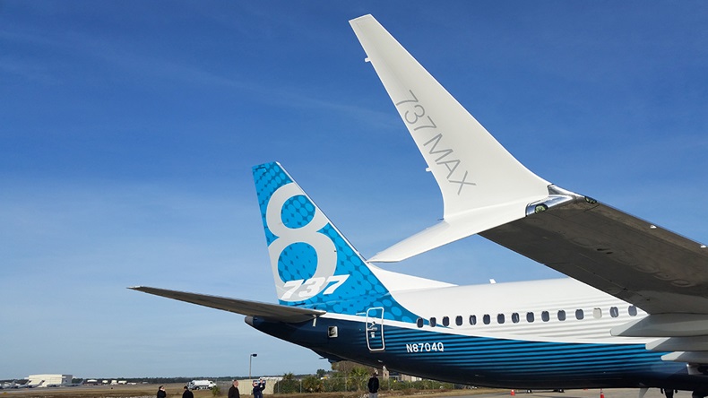 Boeing 737 Max (Marco Menezes/Shutterstock.com)