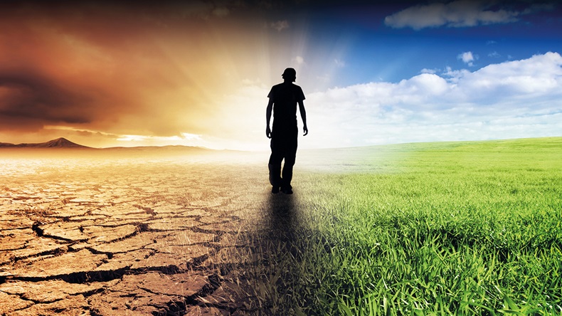 kwest/Shutterstock.com