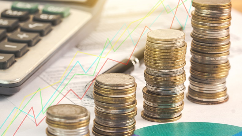 Coins (nednapa/Shutterstock.com)