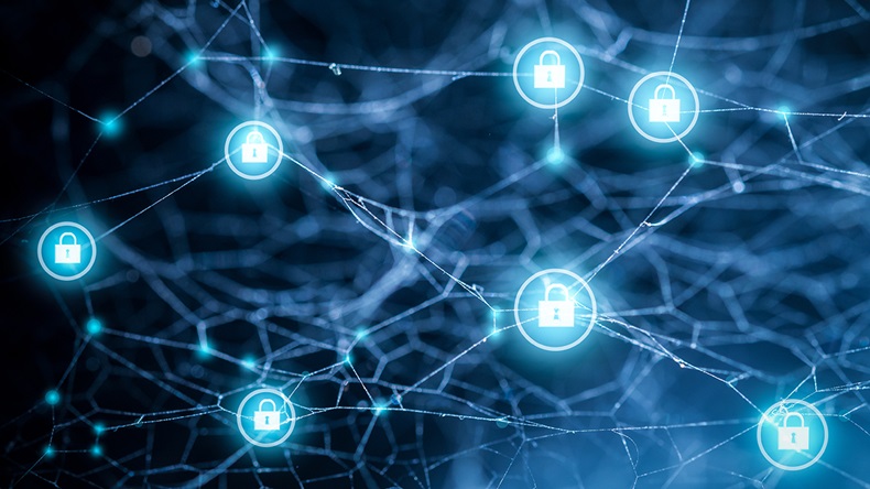 Data protection (Kris Tan/Shutterstock.com)